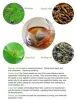 Best effective adults group sliming herb tea slimming tea