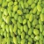Import Best Price Large Lima Beans from Bangladesh