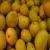 Import Best Quality Fresh Mangos Supplier From Bangladesh from Bangladesh