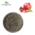 Import Best Quality Organic Water Solubility Ellagic Acid Powder Pomegranate Peel Extract from China
