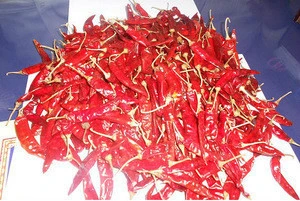 Best range of chillies at best price