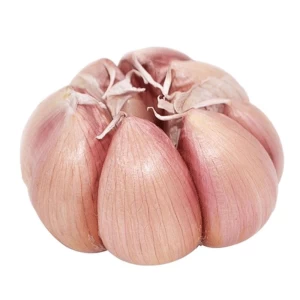 Best selling durable using garlic-wholesale vegetables garlic fresh 2020