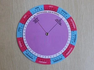 BMI wheel calculator