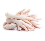 Brazilian Frozen for Exporting Meat Frozen Chicken Paws