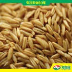 brown oats