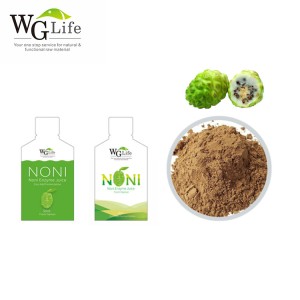 Bulk Beverage Additives Fresh Organic Noni Fruits Juice Extract, Pure Noni Enzyme Powder