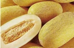 bulk fresh hami /fresh cantaloup cantaloupe /fresh hami melons