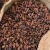 Import Cacao Beans ,Dried Crioll Cocoa Beans cocoa beans for sale from China