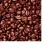Import Cacao Beans ,Dried Crioll Cocoa Beans cocoa beans for sale from South Africa