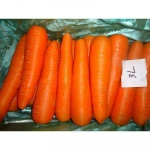 Cheap Fresh Carrots For Sale