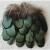 Import Cheap lady amherst pheasant DIY feathers for sale from China