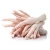 Import Chicken Paws frozen processed chicken paws from Pakistan/ a grade frozen chicken feet and paws from Pakistan