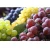 Import Chile Grown Black Grapes Seedless Robinson Fresh MOQ 18 Lbs Quick Delivery in US from USA