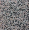 China natural stone kangbao red granite