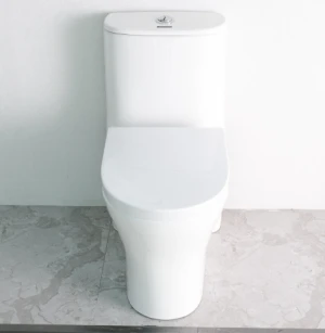 Chinese bathroom Ceramic one Piece S- Trap WC Toilets Cupc SA-2258