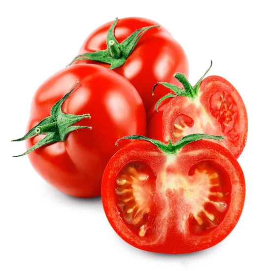 Chinese Vegetable Seeds High Yield Hybrid Tomato Seeds/Tomato pasta/Tomato  paste