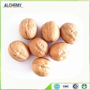 Chinese walnut, nut , cheap walnuts for sale