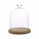 clear glass cloche bell jar dome with heart shape handle wooden base for DIY flower rose craft girlfriend valentines day gift