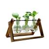 clear glass wooden planter bulb vases logo/wood craft crates