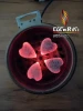CocoRiki Coconut Shell Charcoal for Shisha Hookah Incense in Heart Shape Premium Quality Indonesia Products