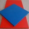 Colourful judo mat in plenty of thickness used for judo,boxing,wrestling and other similar sports on sale