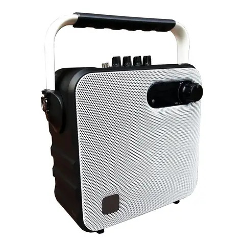 CT-ABTS-T5 PORTABLE Wireless Blue tooth Stereo FM radio, Amplifier, Speaker with Mic