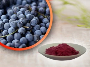 Cultivated Blueberry Juice Powder
