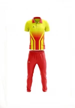 Custom Design Brand Logo Jersey Online Cricket Uniform Jersey Shirt & Trouser With Free Cap Sports Wear Cheap