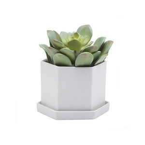 Custom Hexagon Ceramic Planter Pot with Tray