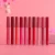 Import Custom lip gloss with custom box 10 Color 3.5ml Red Top Transparent Body Matte Glossy Lip Gloss Single Set All Available from China