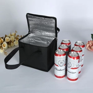 Custom Small 6/8 Pack Beer Insulated Cooler Bag Ice Cooling Thermal Lunch Bag with Logo, Thermo Cooler Bags