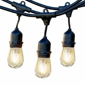 Customized S14 Globe black cable holiday led String Lights with Clear Bulbs, Indoor/Outdoor string lights Commercial Use