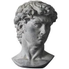 David Head Statue Resin Art Craft for Sketch Practice Or  Home Decor