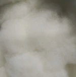 Dehaired Goat Wool Pure Combed Cashmere Yarn Fiber