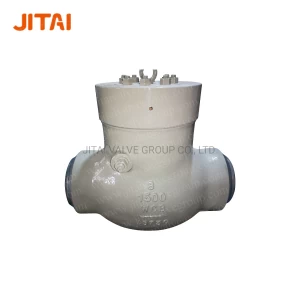 Different Types of High Temperature Metal Check Valve for Power Plant Project