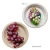 Import Dinnerware sets 10 inch plates Sugarcane bagasse Dishes plates Eco friendly Biodegradable Wholesale from China