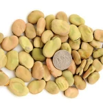 Dried Broad Beans