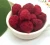 Import Dried Fruit freeze dried Raspberry wholesale in bulk from China
