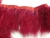 Import Dyed Marabou Trimming Turkey feather from China