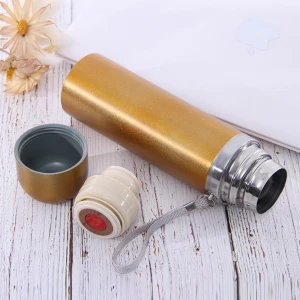 Eco Friendly 350ml 500ml Double Wall Stainless Steel Insulated Outdoor Sport Water Bottle Vacuum Drink Flask