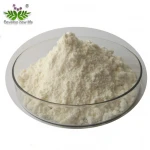 Energy Supplement and Food Additive Powder Whey Protein Isolate WPI