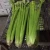 Import export high quality green vegetables , fresh celery from China