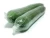 Import Export Quality Fresh Cucumber from Pakistan from Pakistan