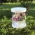 Import Exquisite Preserved Flower Delivery Box, Round Clear Plastic Flower Box from China