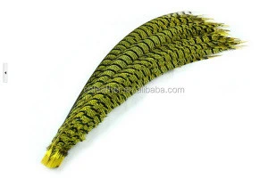 Factory direct sale high quality and Cheap Natural 60-70cm Lady Zebra Pheasant Tail Feathers