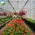 Import Factory direct single-span plastic shed greenhouse for vegetables. from China