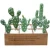 Import Factory Directly Ornamental Cactus And Succulents Artificial Unpotted Cactus Plants from China