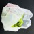 Import Factory Supplier Natural Material Vegetable Compostable Bag from China