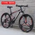 Import Fantas-bike Mountain bike road bike Variable speed flying bicycle one wheel bicycle 29inch 27.5inch from China
