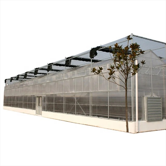 farm plastic supply clear greenhouse frame film polyethy with hydroponic system
